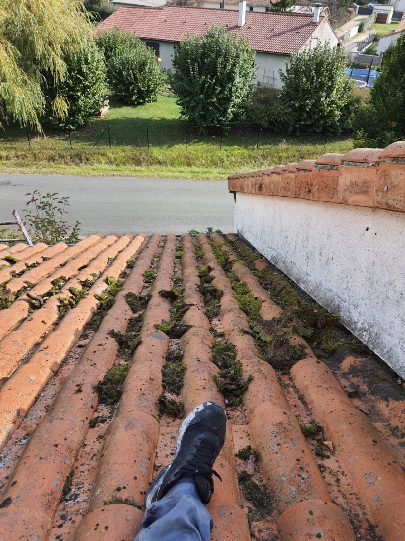 Toiture en tuiles canal envahie de mousse avant nettoyage