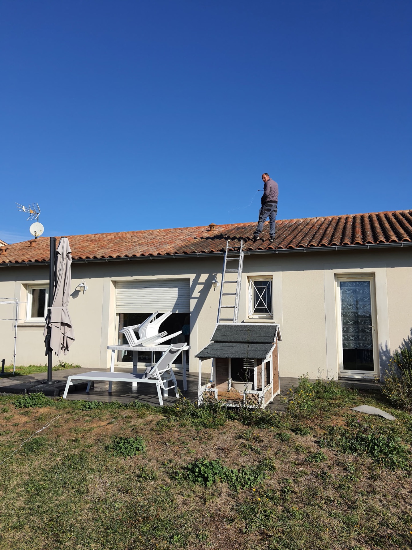 Traitement anti-mousse appliqué sur la toiture d'une maison de plain-pied