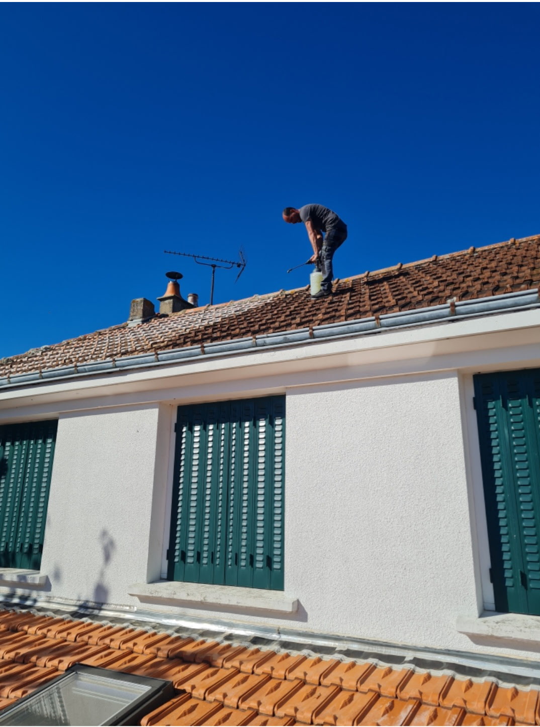 Pulvérisation d'un traitement anti-mousse Dalep sur une toiture en tuiles